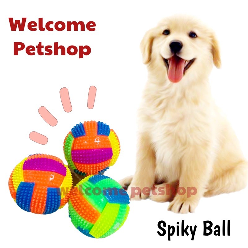 Spiky Ball / Mainan Bola Anjing / Mainan Bola Bunyi / Mainan Hewan