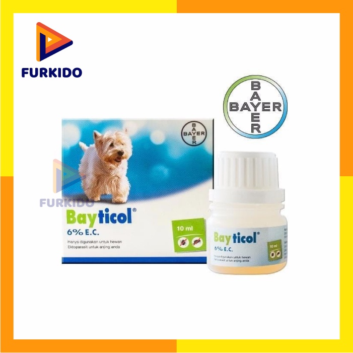 Bayticol Obat Kutu Anjing 10 ml