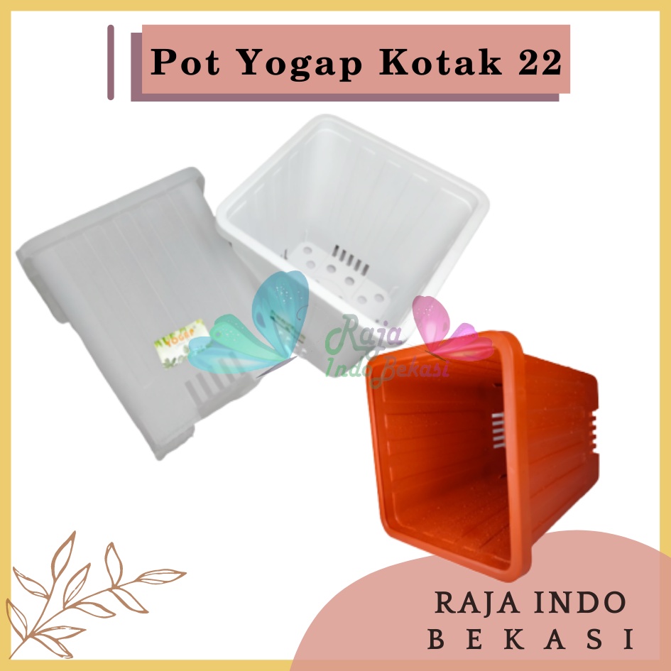 Pot Yogap Kotak 22 Putih Transparan Bening Merah Bata Coklat Terraccota Terakota Orange Pot Yogap 10 13 15 17 18 19 25 30 Pot Yogap Lusinan Pot Kotak Segi Pesegi Empat Panjang Tinggi