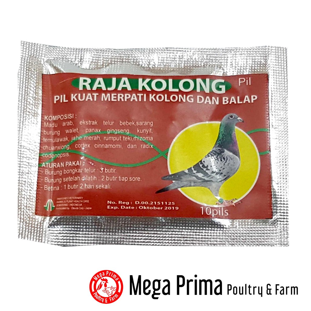 RAJA KOLONG 10 Pil Obat Suplemen Kuat Burung Merpati Kolong Balap