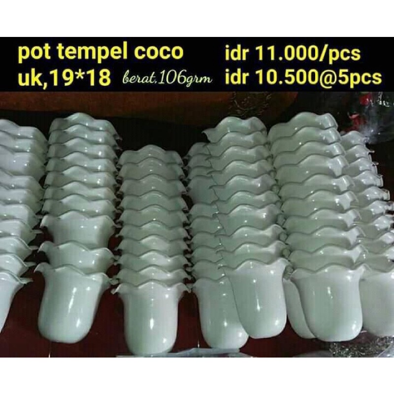 pot tempel coco vas dinding tembok untuk bunga hidup dan mati stokig