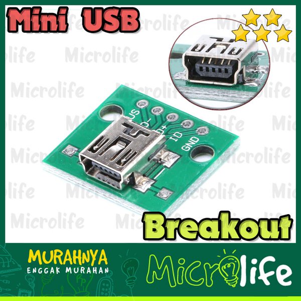 Mini USB Converter Breakout Board to 5 Pin DIP Female