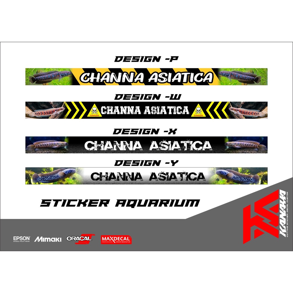 Sticker Aquarium / Sticker Aquarium Waterproof / Sticker Aquarium Chana / Chana Asitica terbaru