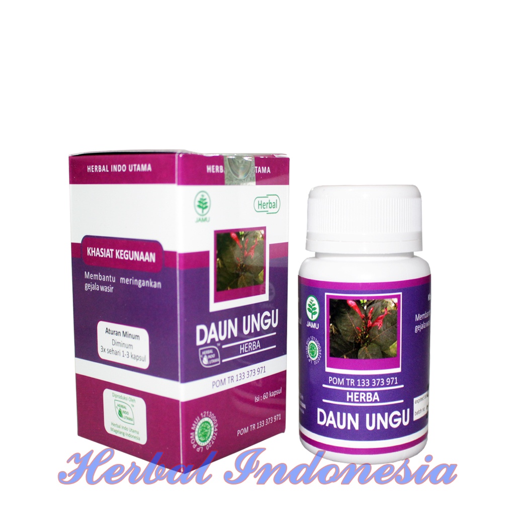 Kapsul Daun Ungu Herba HIU - Obat Wasir Original Isi 60