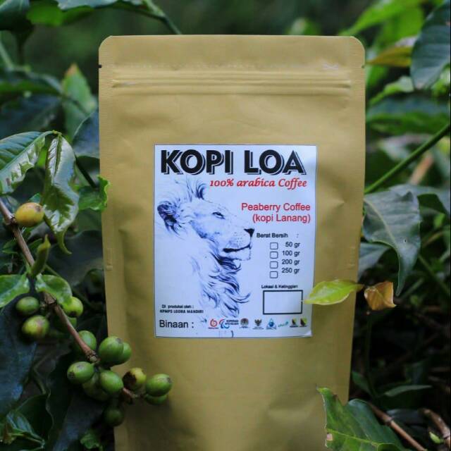 

Kopi loa