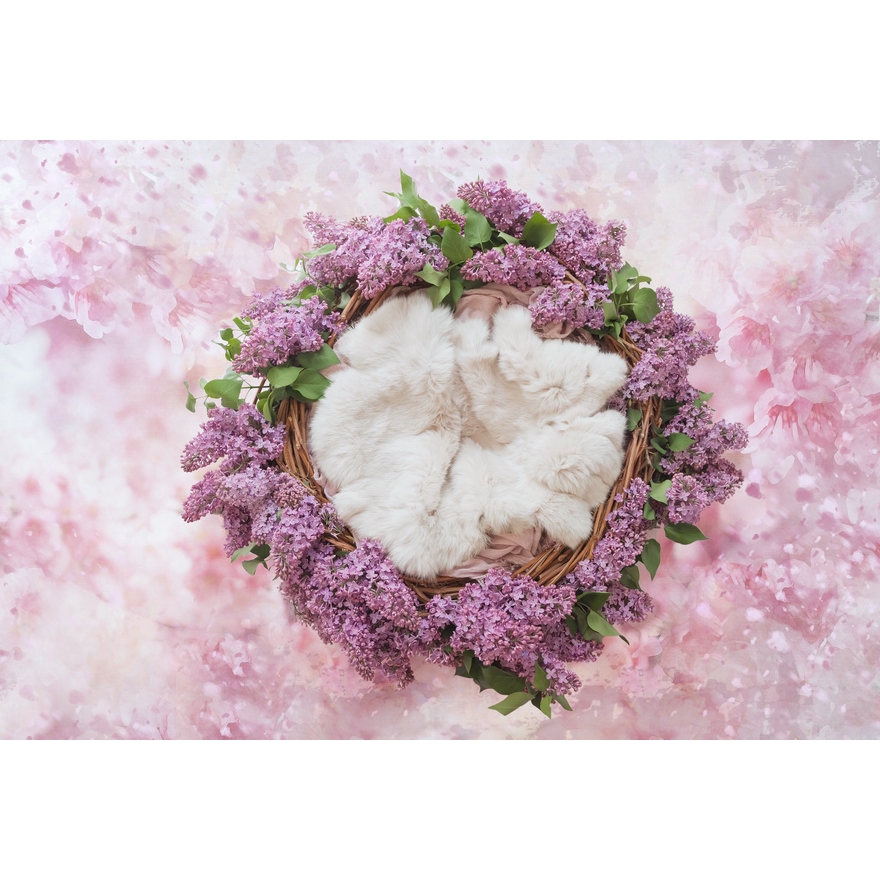 Layar Latar Foto Bayi Baru Lahir Motif Keranjang Bunga Cantik Shopee Indonesia