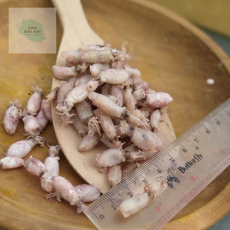 

Baby Cumi Asin Rebus Grade A size 0,5-2Cm