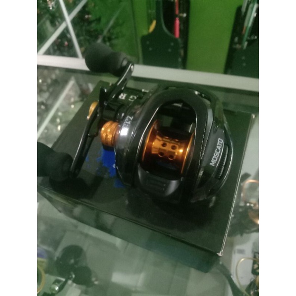 Reel Pancing BC Orca Moscato