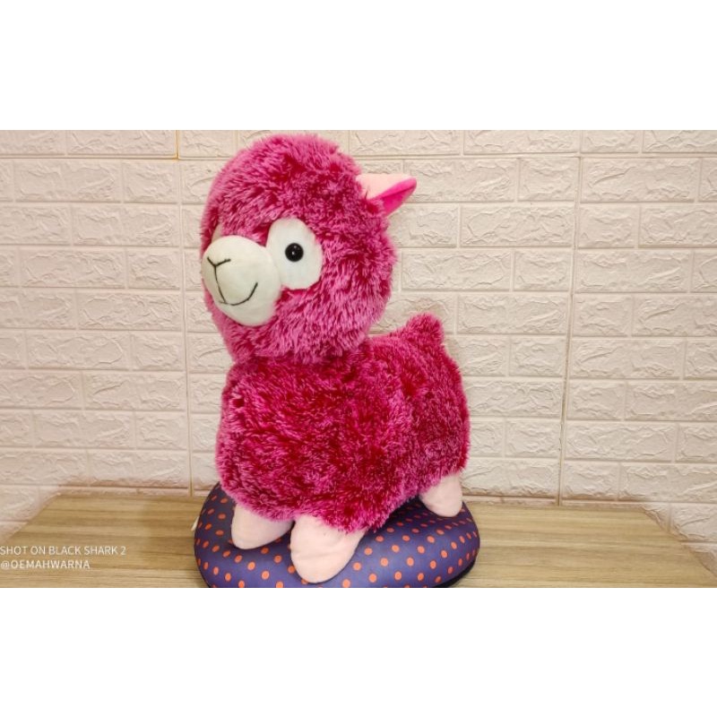 Alpaca / Arpacasso / Amuse