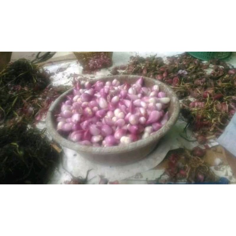 

bawang merah kupas