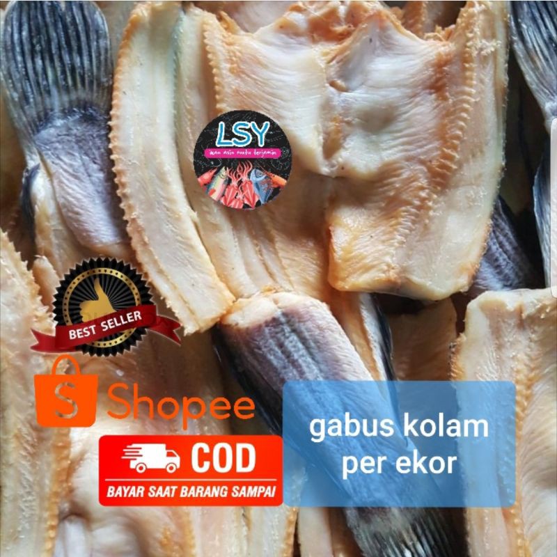 

ikan asin gabus kolam size besar