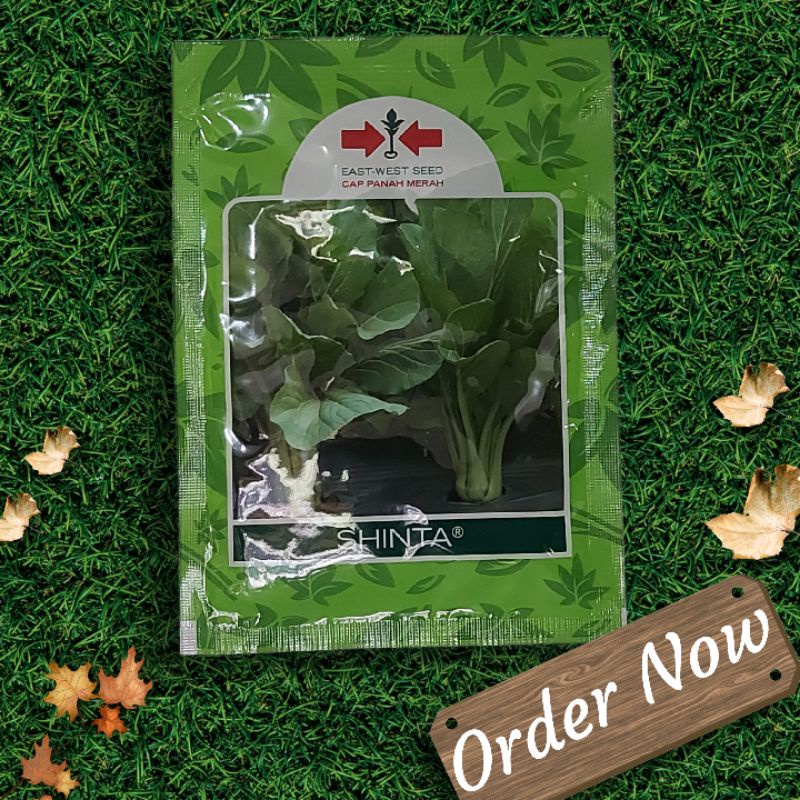 BENIH SOSIN / CAISIM / SAWI SHINTA