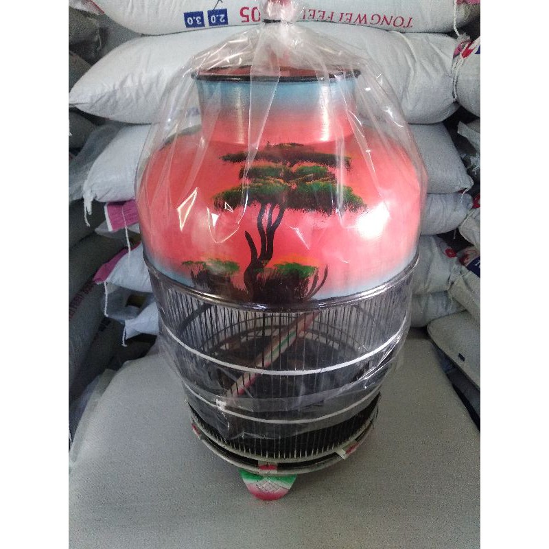 Sangkar Kurungan Burung Derkuku Puter Warna Lukis  WP2