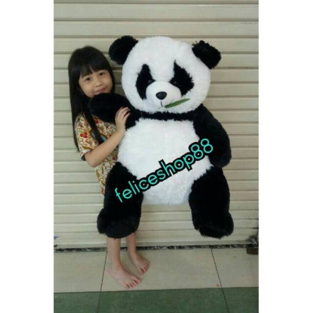 Boneka panda jumbo besar