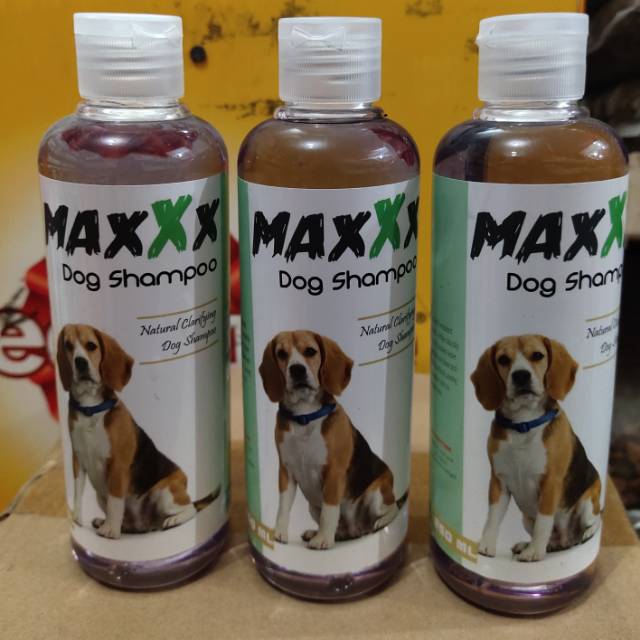 

MAXXX