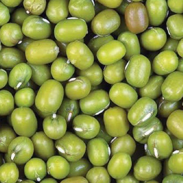 Kacang Hijau (Mpasi) Kualitas Premium 1kg