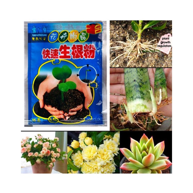 Rapid Rooting Powder/ Penumbuh Akar – 10 gram