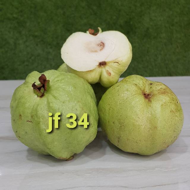

Jambu cristal lokal