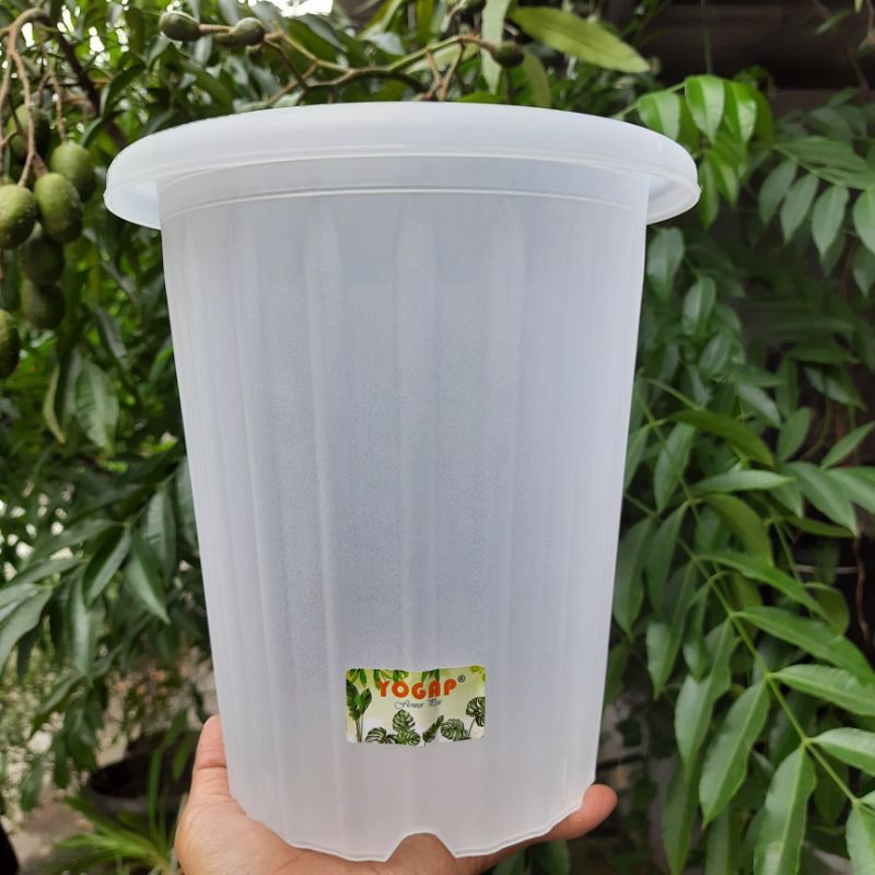 Pot Yogap YPT 18 Bening Transparan / Pot Tanaman
