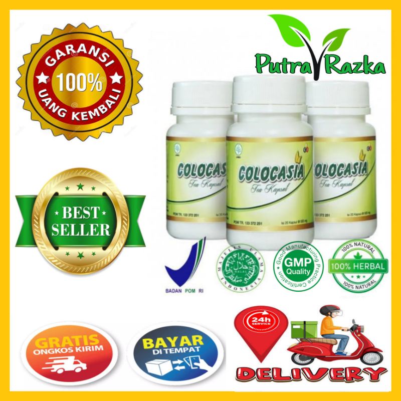 OBAT HERBAL COLOCASIA PEREDA NYERI SENDI