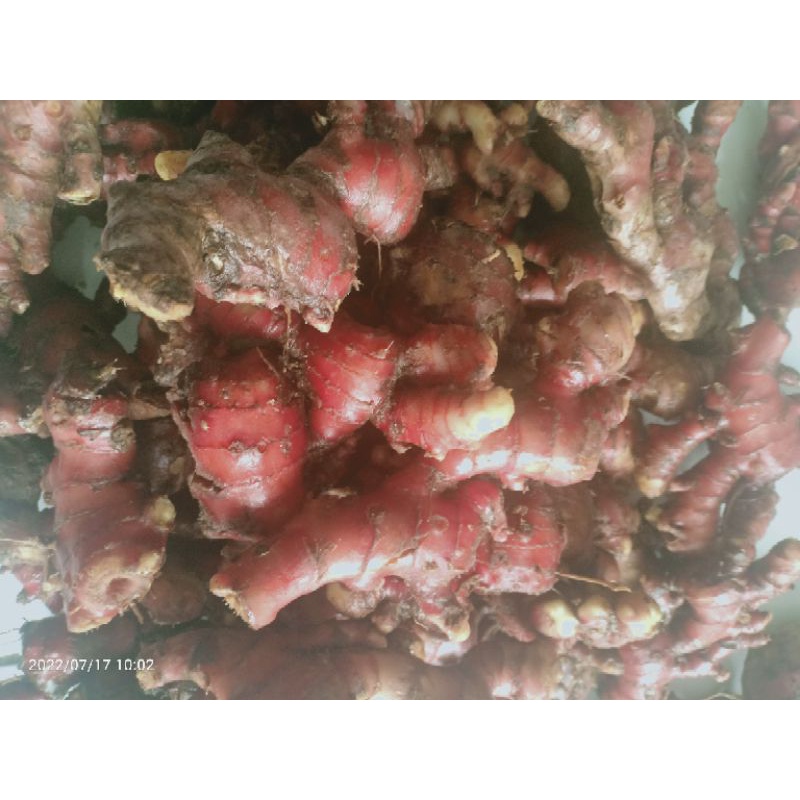 

Empon/Bumbu Dapur 100 Gram