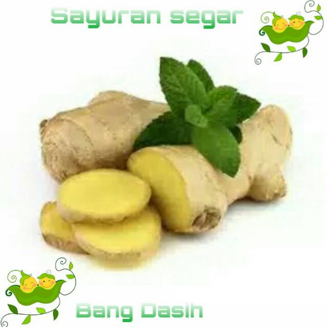 

Jahe bumbu dapur segar 500gr