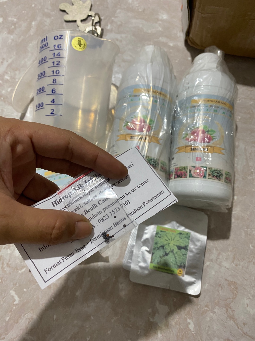 Benih Bibit Biji Strawberry Giant Raksasa Stroberi Strawberi