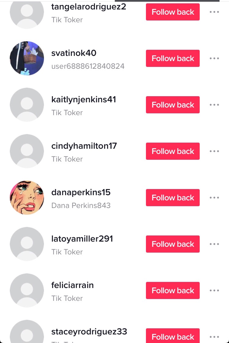 Followers Tiktok Premium