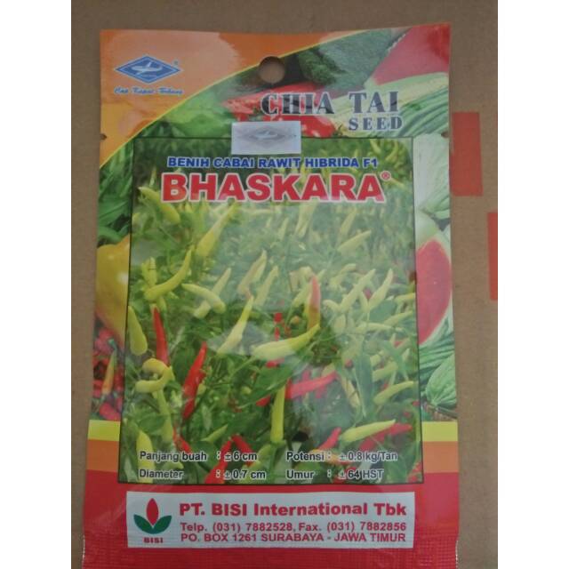 BENIH CABAI RAWIT HIBRIDA F1 BHASKARA