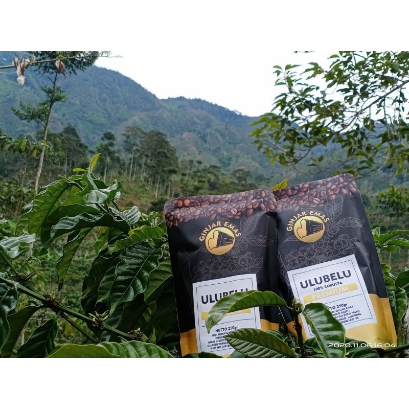 

kopi bubuk ginjar emas 100% robusta asli gunung tanggamus