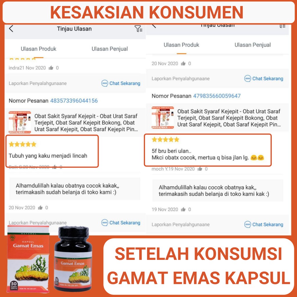 Obat Syaraf Kejepit Saraf Terjepit Saraf Kejepit Syaraf Terjepit Herbal Gamat Emas Kapsul Asli BPOM