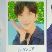 [BOOKED] TC JOSHUA POLA