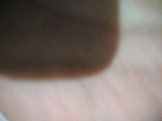 Claris 2300 Bee Bowl Mangkok / Piring Makan Plastik Anak Set Of 4 Pcs