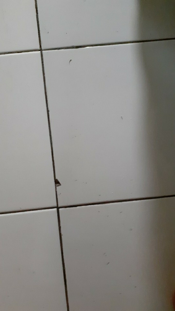 Batik Jumbo Big Size Jumbo Xxl Xxxl 3l 4l 5l Murah Batik Jumbo Couple