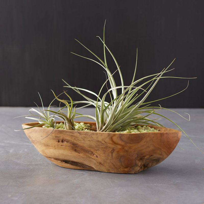 pot bunga kayu dekorasi hiasan