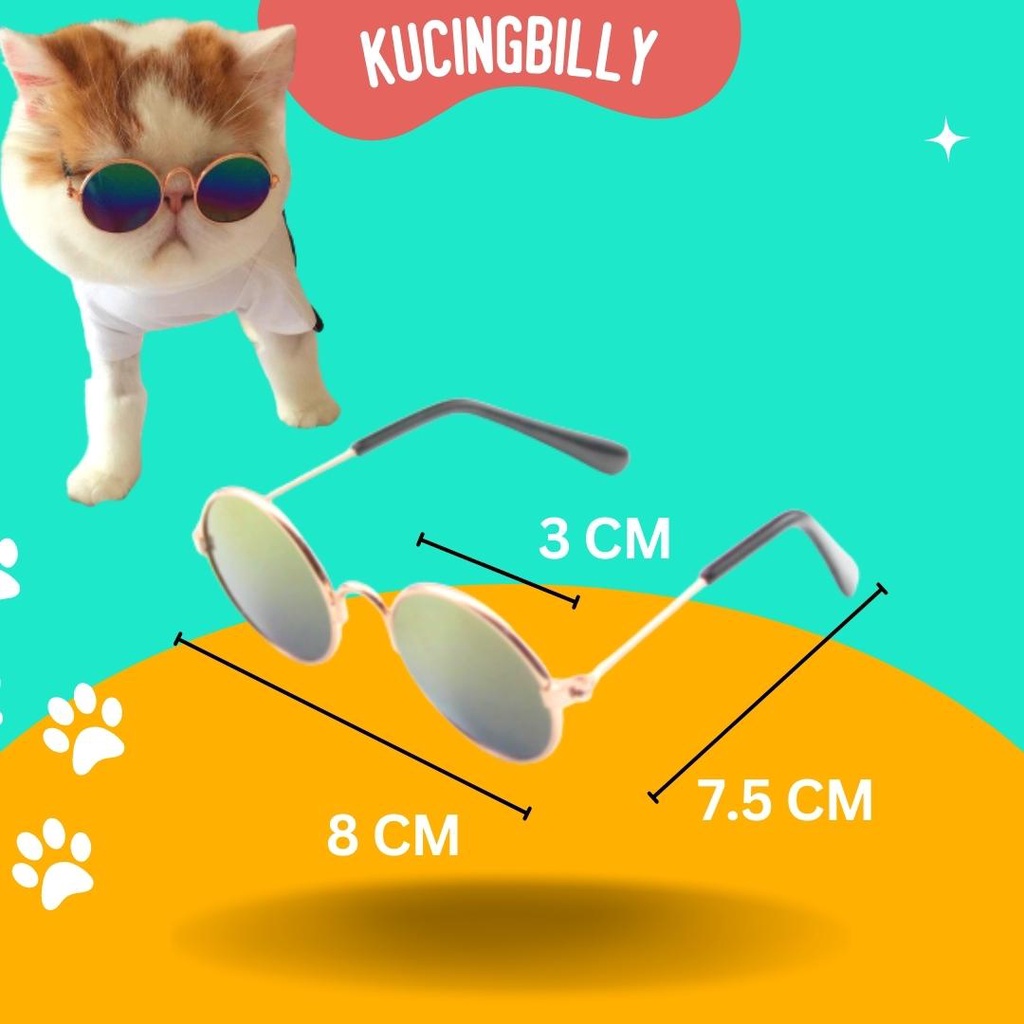 Kacamata sunglass keren kucing anjing