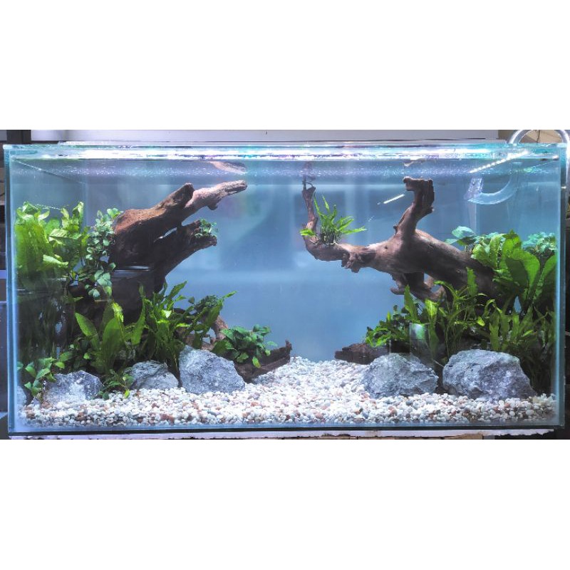 Jual Aquascape Tema Natural Po Shopee Indonesia