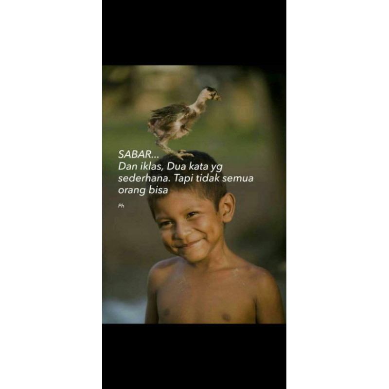 tica ws and red pulchra