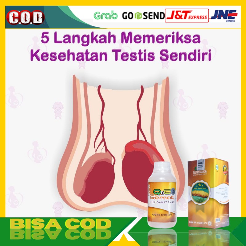 QnC Jelly Gamat Buat Testis Ekstrak Teripang Emas Asli 100% Original