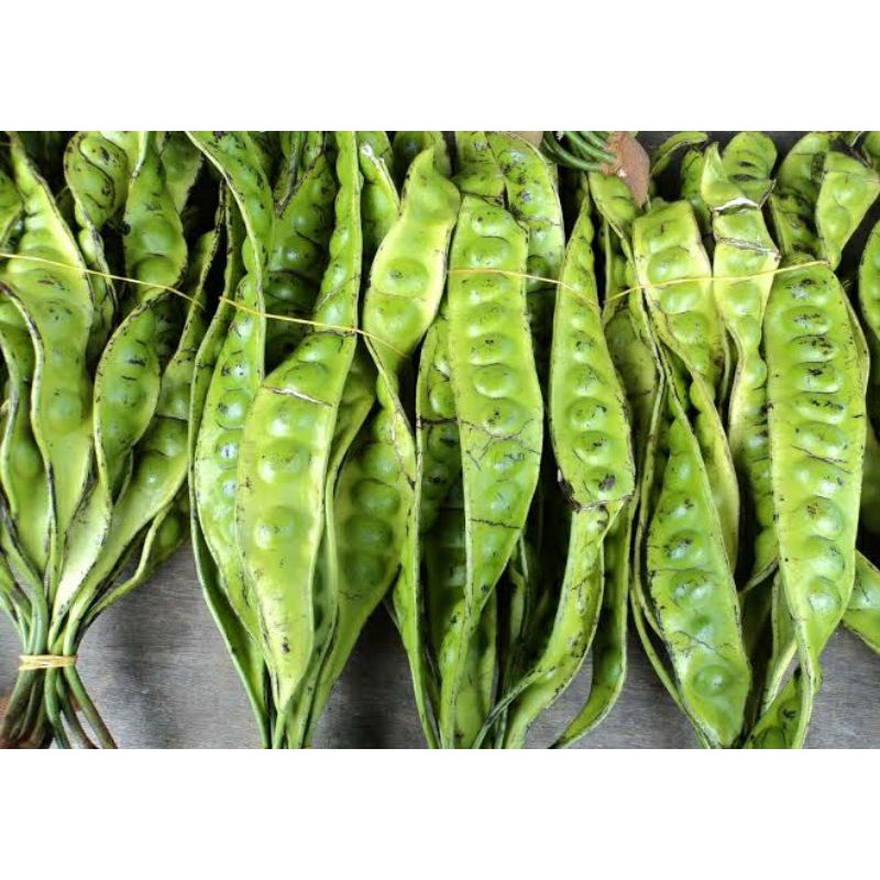 

PETAI/PETE - Sepapan