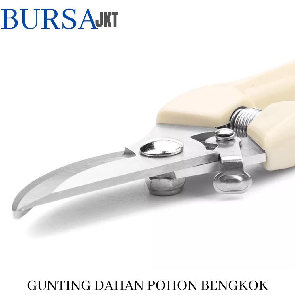 GUNTING DAHAN RANTING BUNGA TANAMAN PERALATAN BERKEBUN PRUNING SHEARS