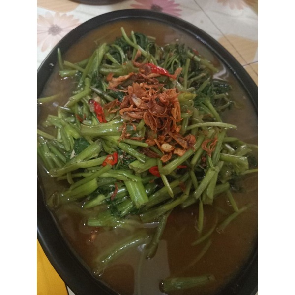 

kangkung polos