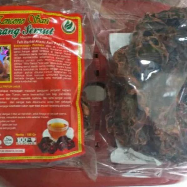 

Sarang Semut Rebus Kencono Sari