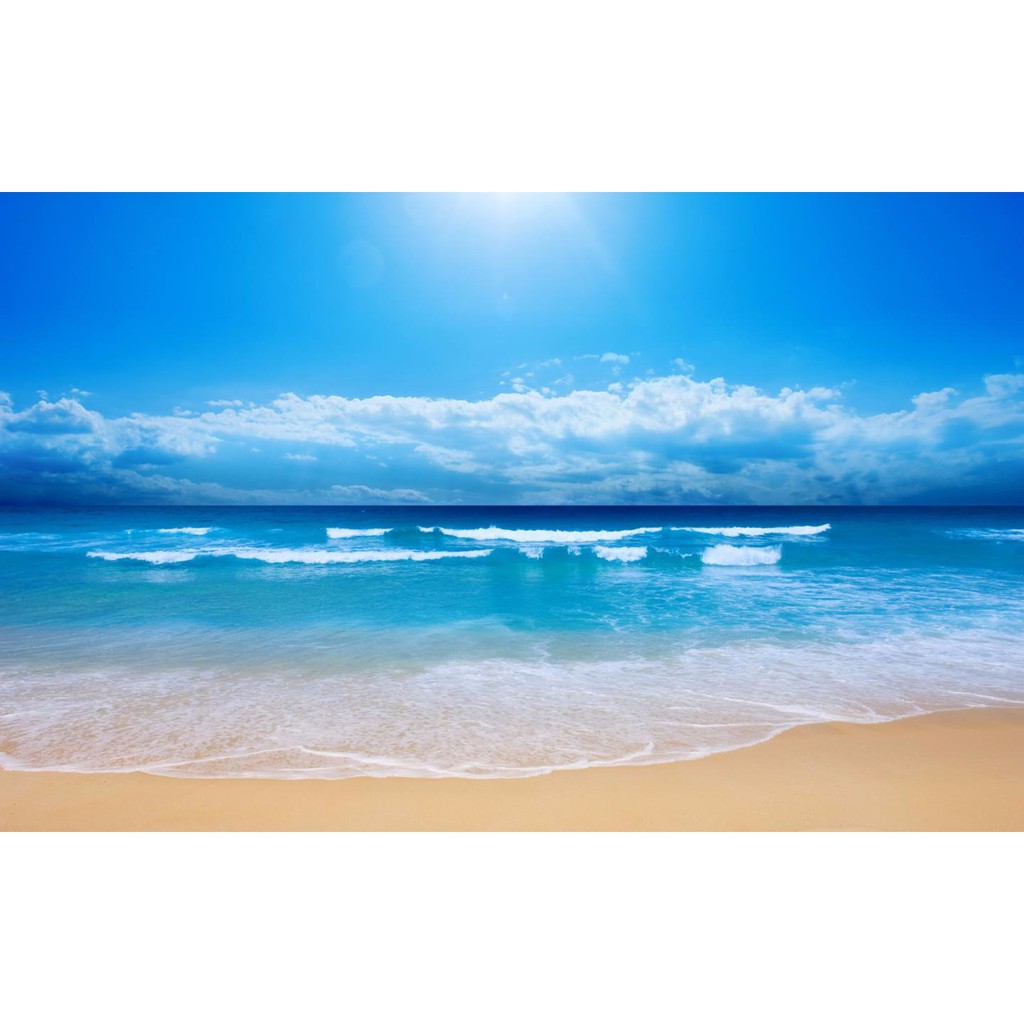 

Bibit Parfum Pewangi Ocean Fresh 100 cc