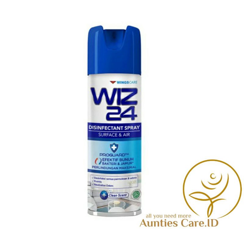 WIZ 24 DISINFECTANT SPRAY 300ml
