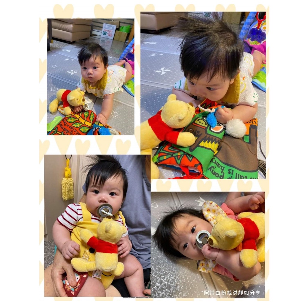Nookums Disney Pooh Pacifier with Plushies Empeng dengan Boneka