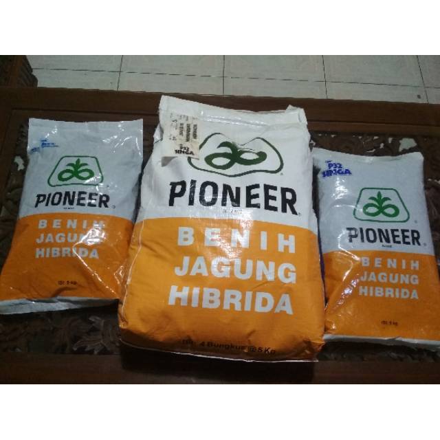 Bibit jagung pioneer p32 unggul 5 kg