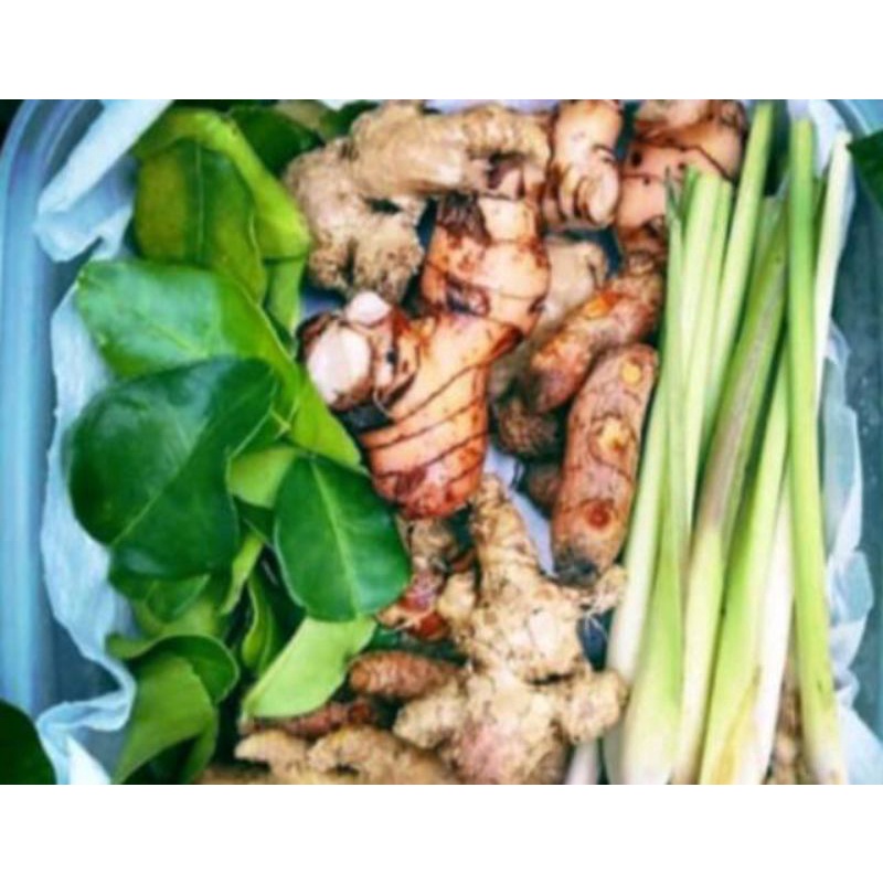 

Bumbu Dapur lengkap / Bumbu Pawon Segar / Bumbu Masakan