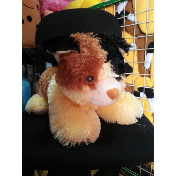 Boneka kucing lucu/boneka hewan kucing murah