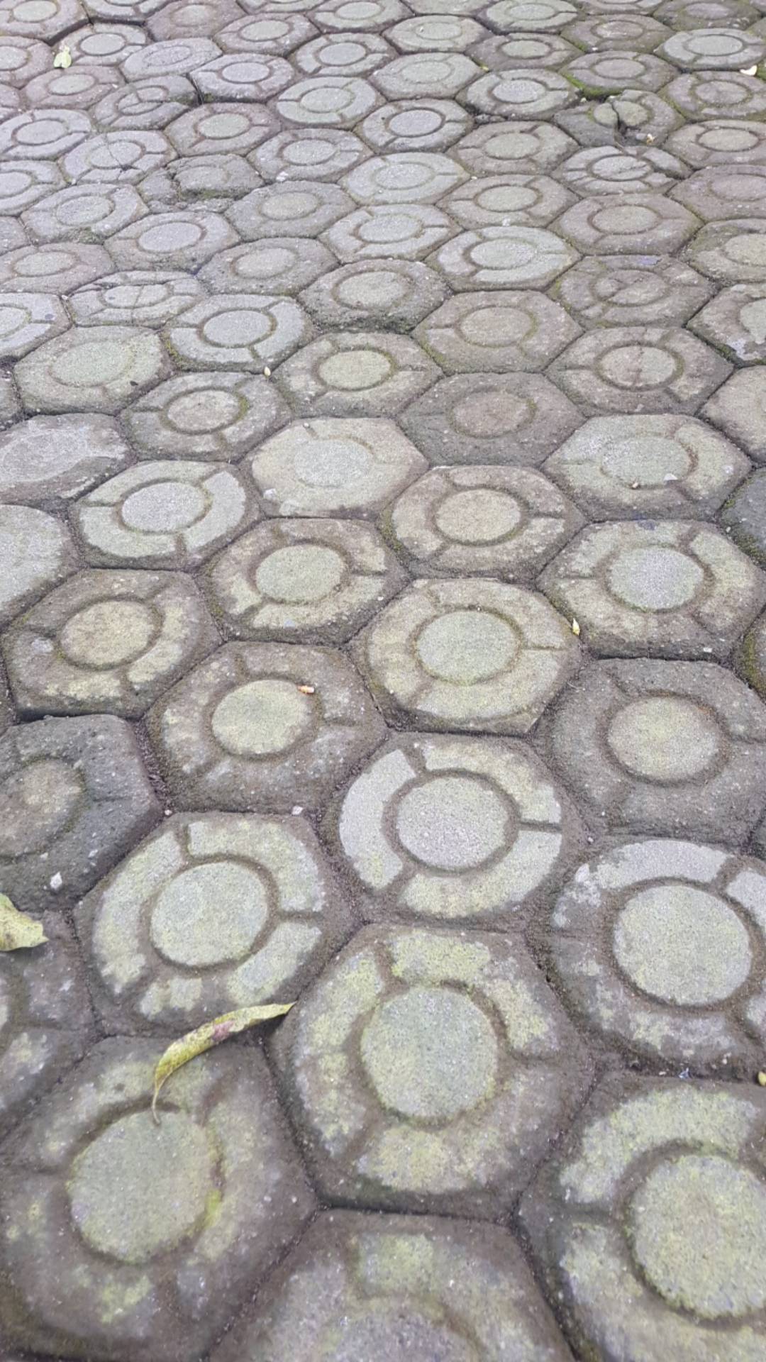 Kalibre Payung Yellow Art 995276999